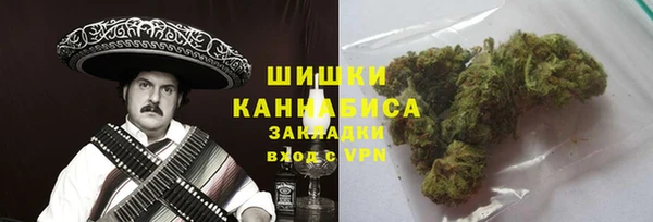 прущие грибы Алексеевка