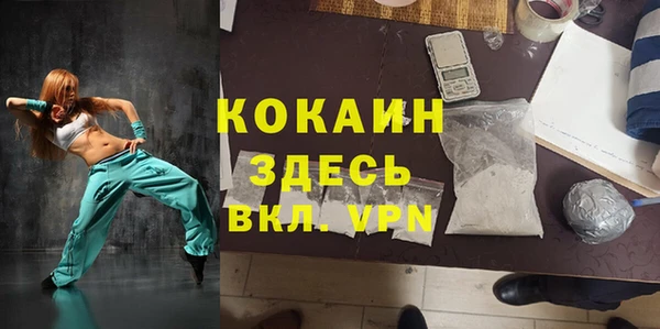 spice Алексин
